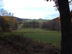 Wandern durchs Weierbachtal