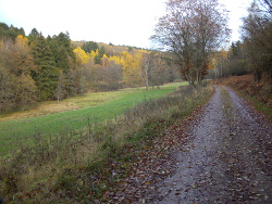 Wandern durchs Weierbachtal