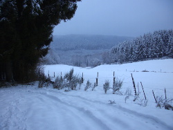 Blick Richtung Ruwer Naehe Raukopf