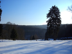 Blick Richtung Hunsrückhöhenstrasse
