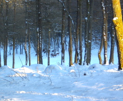 Zerfer Wappentier live